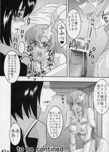 [St. Rio (Kitty, Kouenji Rei)] COSMIC BREED 5 (Gundam SEED DESTINY) - page 44