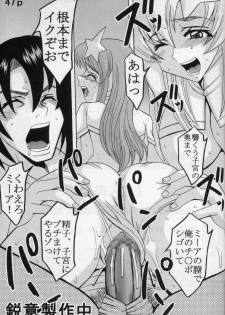 [St. Rio (Kitty, Kouenji Rei)] COSMIC BREED 5 (Gundam SEED DESTINY) - page 48