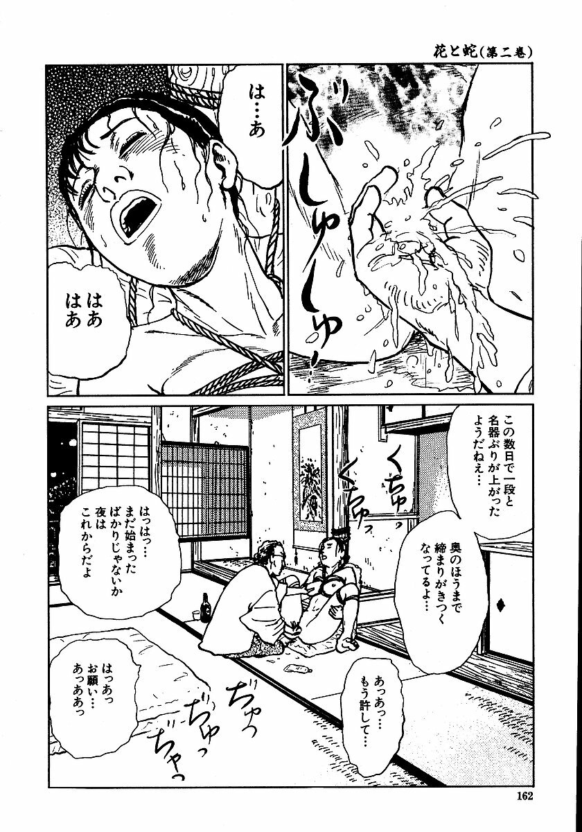 [Dan Oniroku, Osada Kaname] Hana to Hebi 2 page 167 full