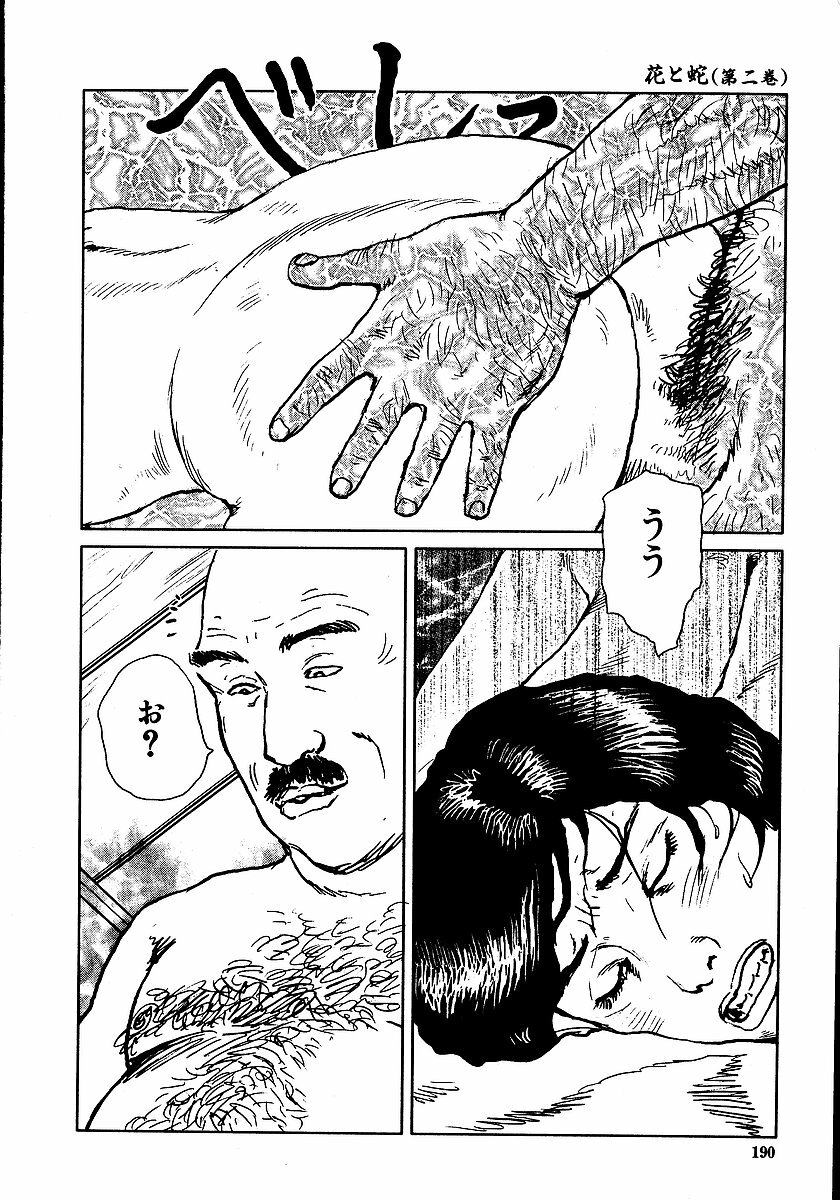 [Dan Oniroku, Osada Kaname] Hana to Hebi 2 page 195 full