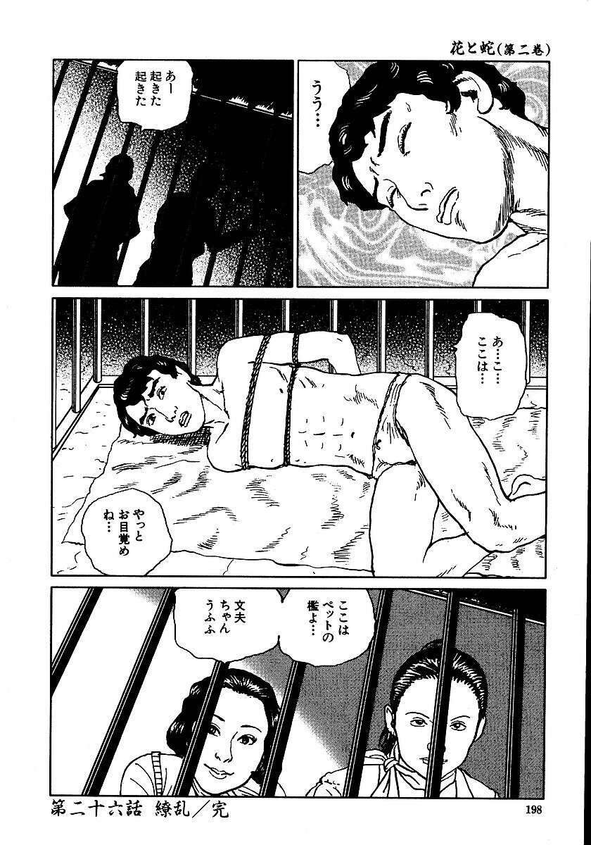 [Dan Oniroku, Osada Kaname] Hana to Hebi 2 page 203 full