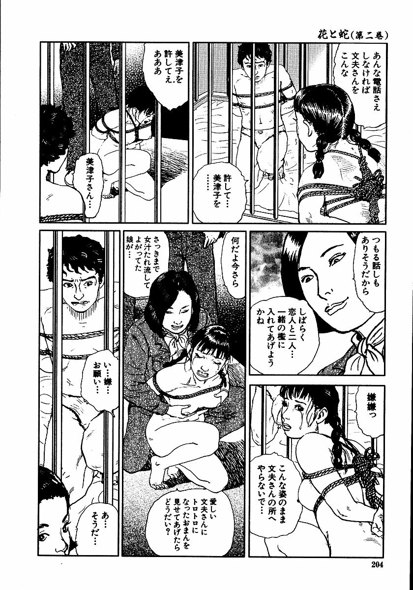 [Dan Oniroku, Osada Kaname] Hana to Hebi 2 page 209 full