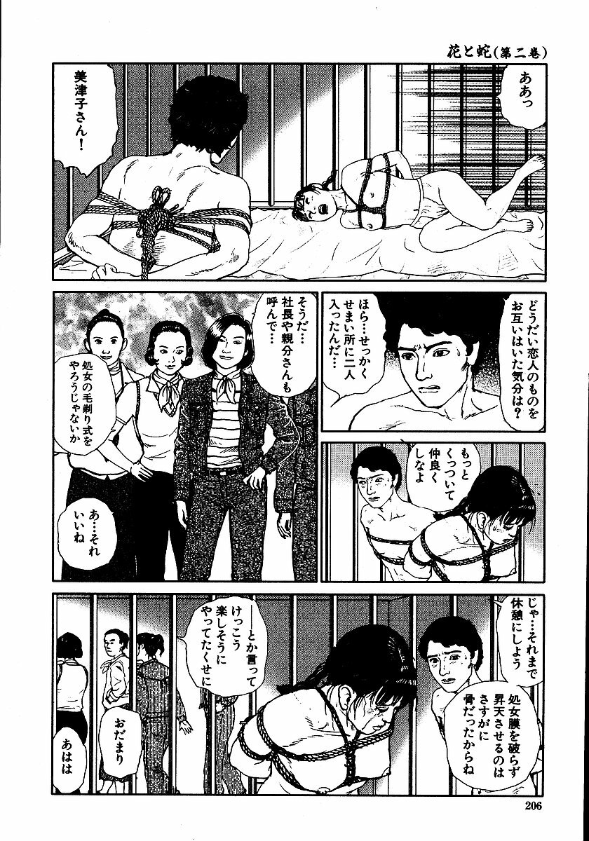 [Dan Oniroku, Osada Kaname] Hana to Hebi 2 page 211 full