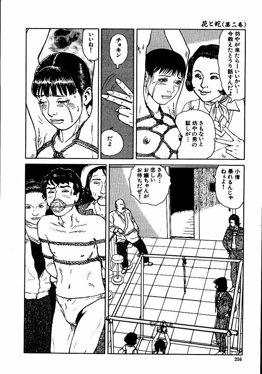[Dan Oniroku, Osada Kaname] Hana to Hebi 2 page 221 full