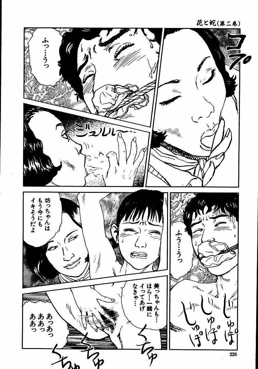 [Dan Oniroku, Osada Kaname] Hana to Hebi 2 page 233 full