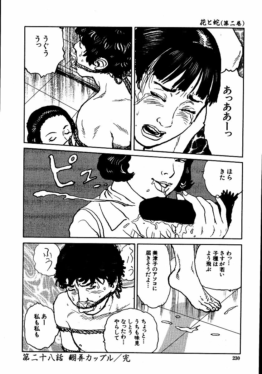 [Dan Oniroku, Osada Kaname] Hana to Hebi 2 page 235 full