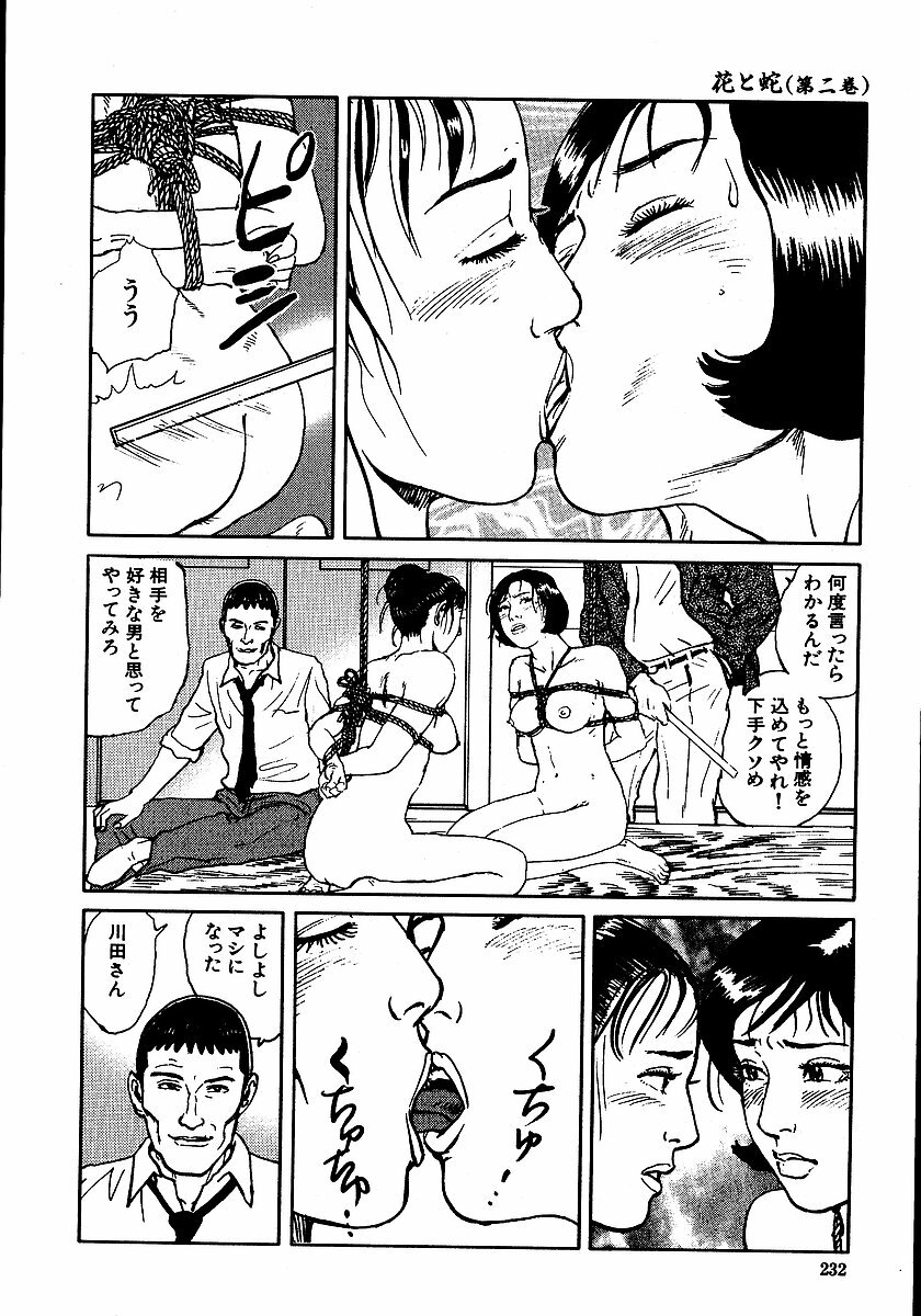 [Dan Oniroku, Osada Kaname] Hana to Hebi 2 page 237 full