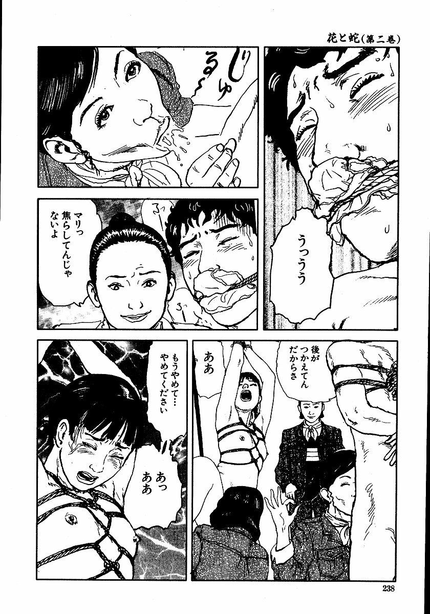 [Dan Oniroku, Osada Kaname] Hana to Hebi 2 page 243 full