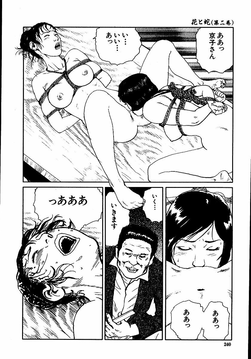 [Dan Oniroku, Osada Kaname] Hana to Hebi 2 page 245 full