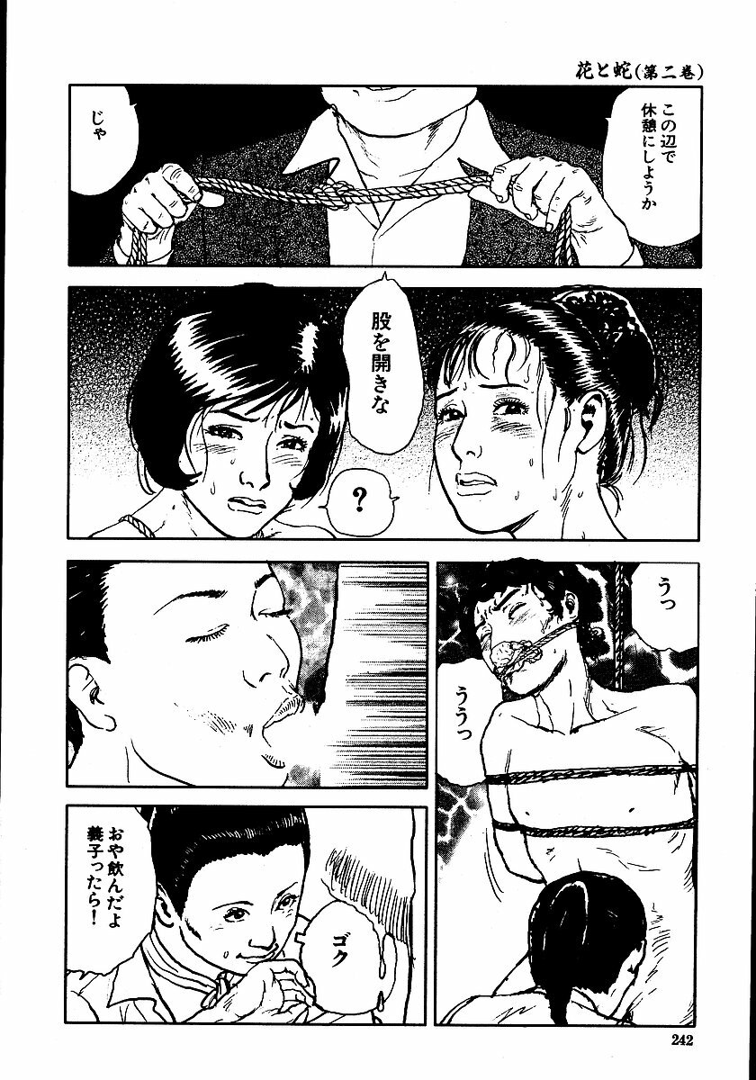 [Dan Oniroku, Osada Kaname] Hana to Hebi 2 page 247 full