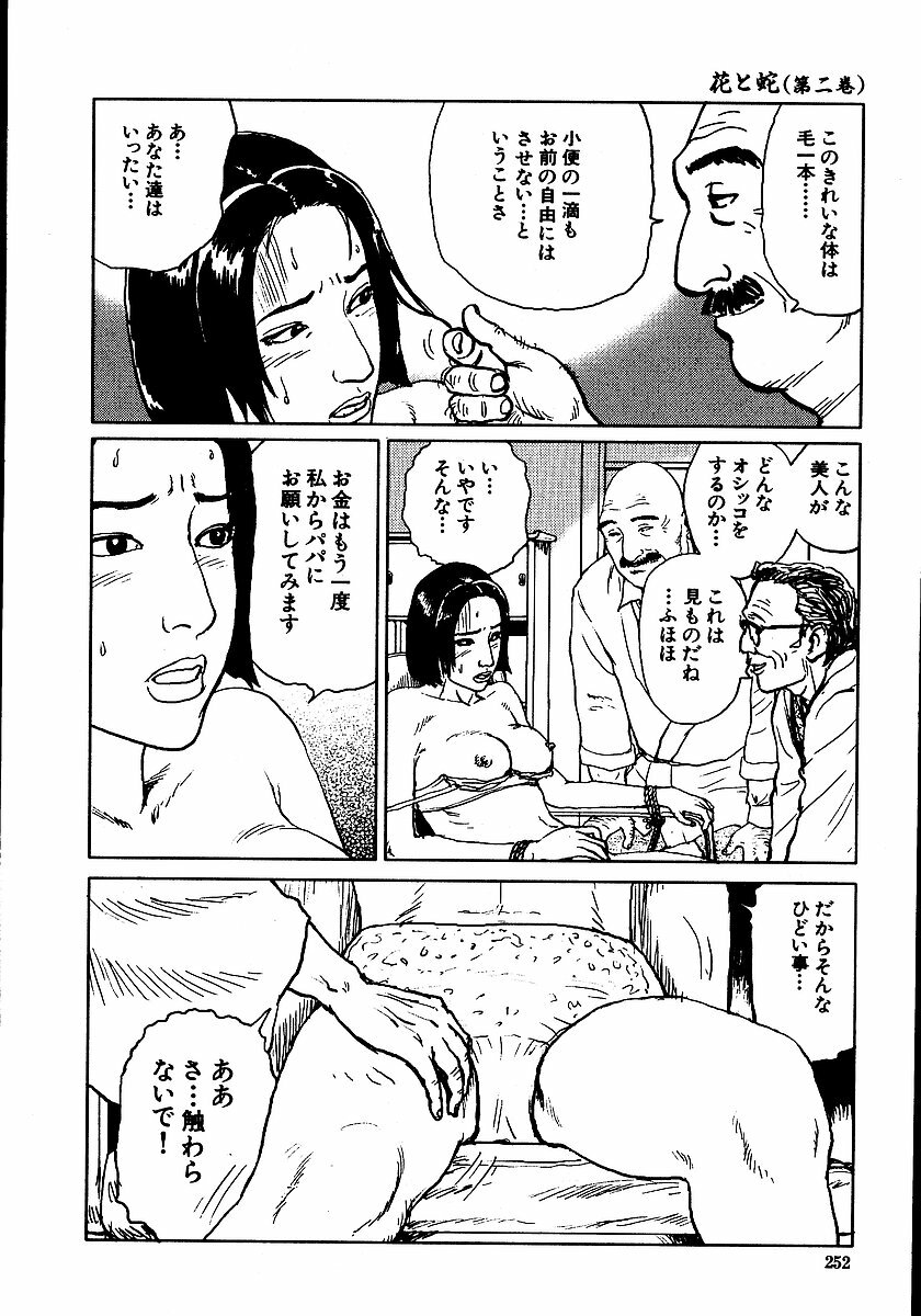 [Dan Oniroku, Osada Kaname] Hana to Hebi 2 page 257 full