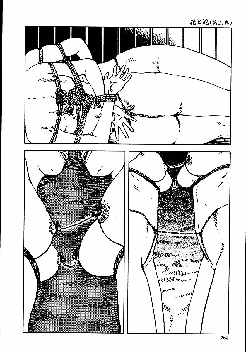 [Dan Oniroku, Osada Kaname] Hana to Hebi 2 page 269 full