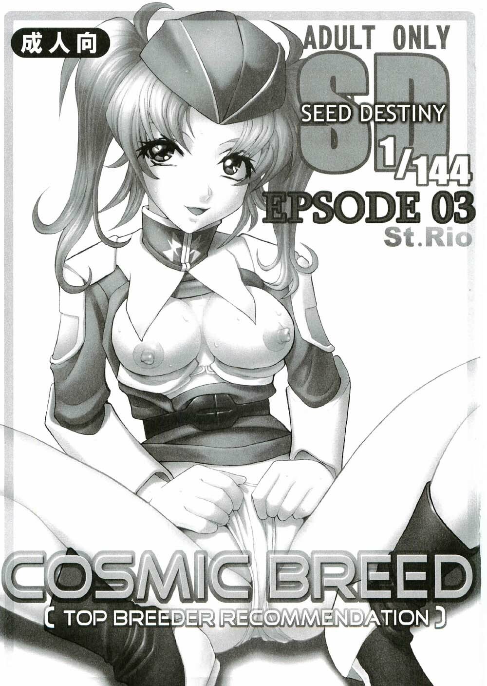 (CR37) [St. Rio (Kitty, Kouenji Rei)] COSMIC BREED 3 (Gundam SEED DESTINY) page 2 full