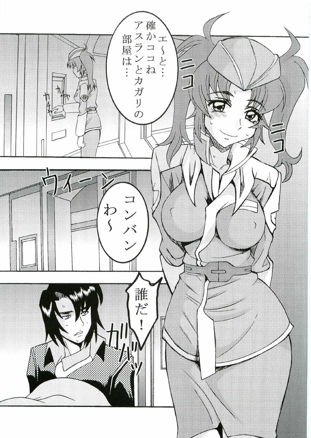 (CR37) [St. Rio (Kitty, Kouenji Rei)] COSMIC BREED 3 (Gundam SEED DESTINY) page 26 full