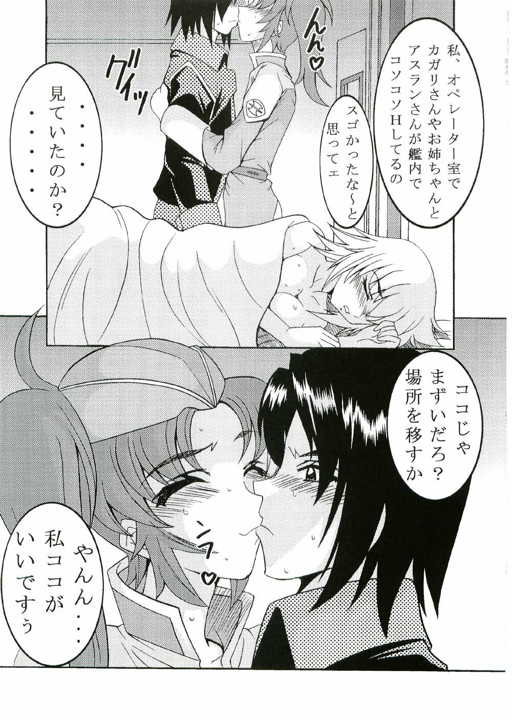 (CR37) [St. Rio (Kitty, Kouenji Rei)] COSMIC BREED 3 (Gundam SEED DESTINY) page 28 full