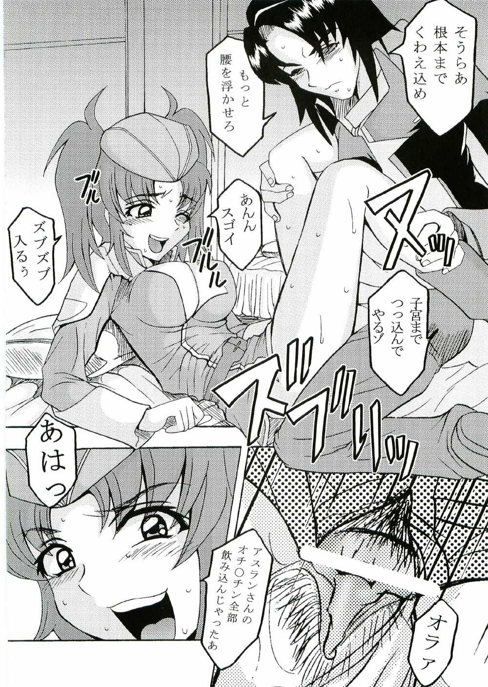 (CR37) [St. Rio (Kitty, Kouenji Rei)] COSMIC BREED 3 (Gundam SEED DESTINY) page 33 full