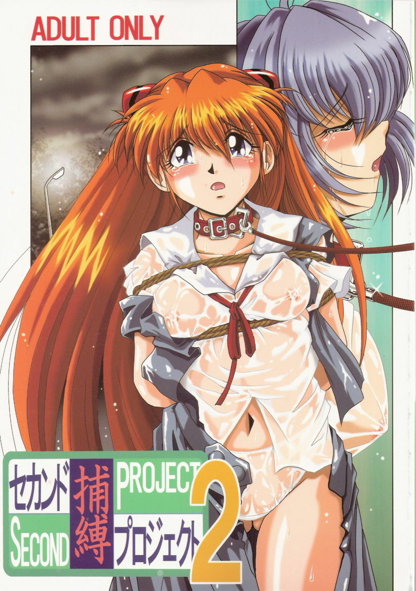 [Thirty Saver Street 2D Shooting (Maki Hideto, Sawara Kazumitsu)] Second Hobaku Project 2 (Neon Genesis Evangelion) page 1 full