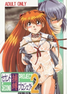 [Thirty Saver Street 2D Shooting (Maki Hideto, Sawara Kazumitsu)] Second Hobaku Project 2 (Neon Genesis Evangelion)