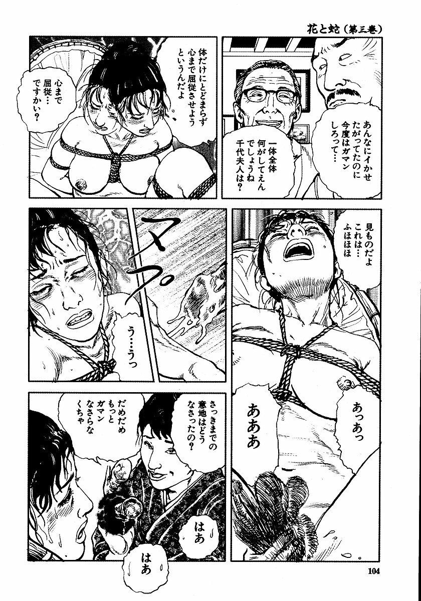 [Osada Kaname, Dan Oniroku] Hana to Hebi 3 page 109 full