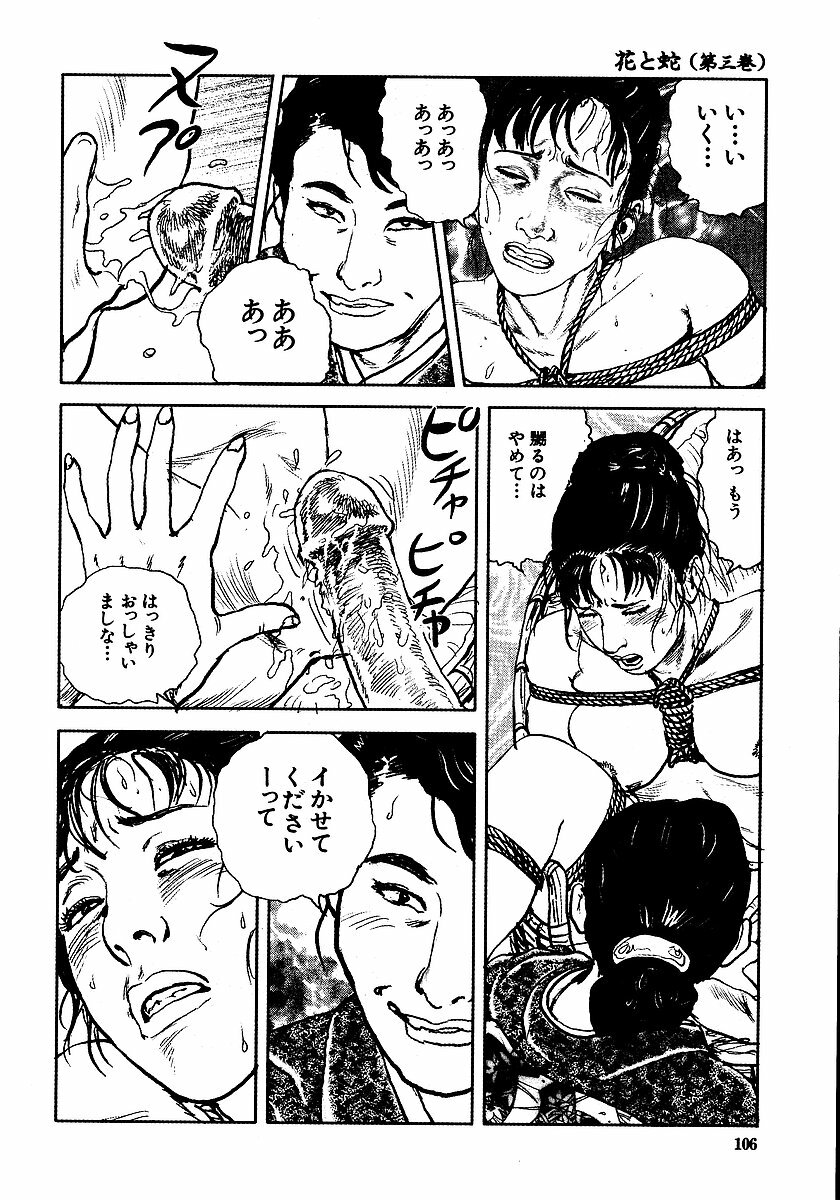 [Osada Kaname, Dan Oniroku] Hana to Hebi 3 page 111 full