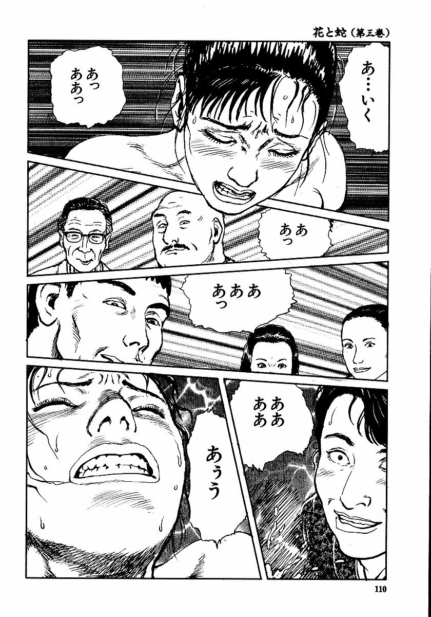 [Osada Kaname, Dan Oniroku] Hana to Hebi 3 page 115 full