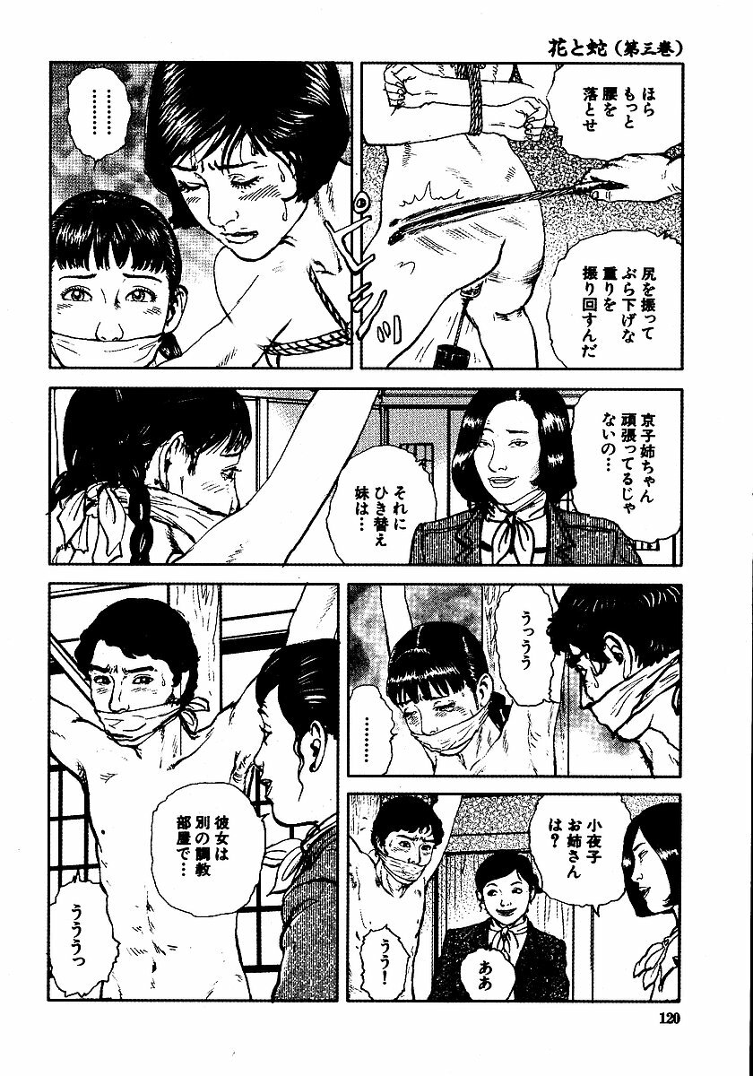 [Osada Kaname, Dan Oniroku] Hana to Hebi 3 page 125 full