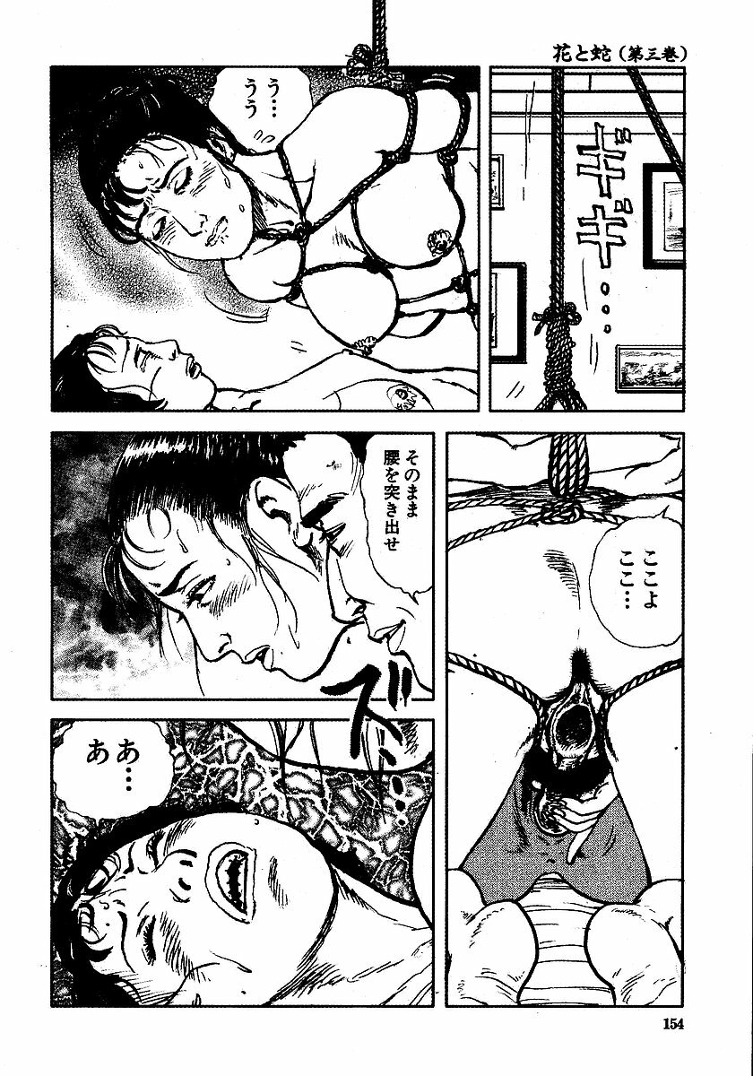 [Osada Kaname, Dan Oniroku] Hana to Hebi 3 page 159 full