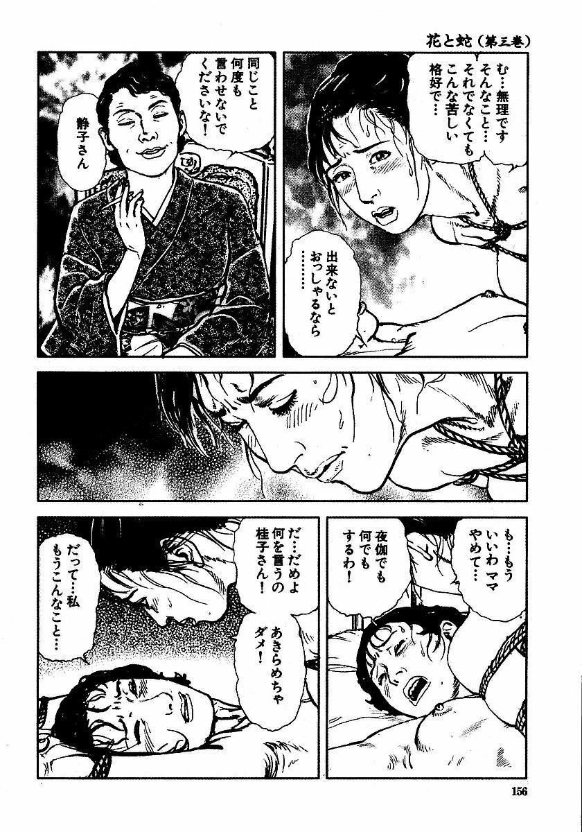 [Osada Kaname, Dan Oniroku] Hana to Hebi 3 page 161 full