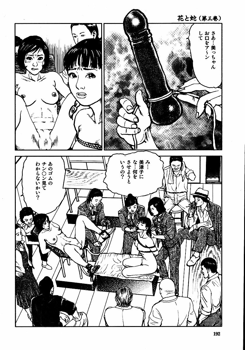 [Osada Kaname, Dan Oniroku] Hana to Hebi 3 page 197 full