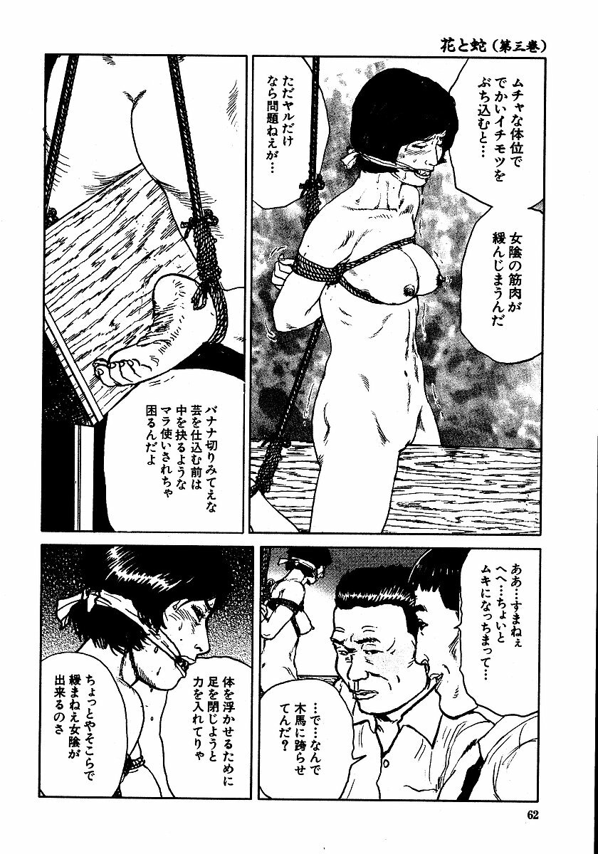 [Osada Kaname, Dan Oniroku] Hana to Hebi 3 page 67 full