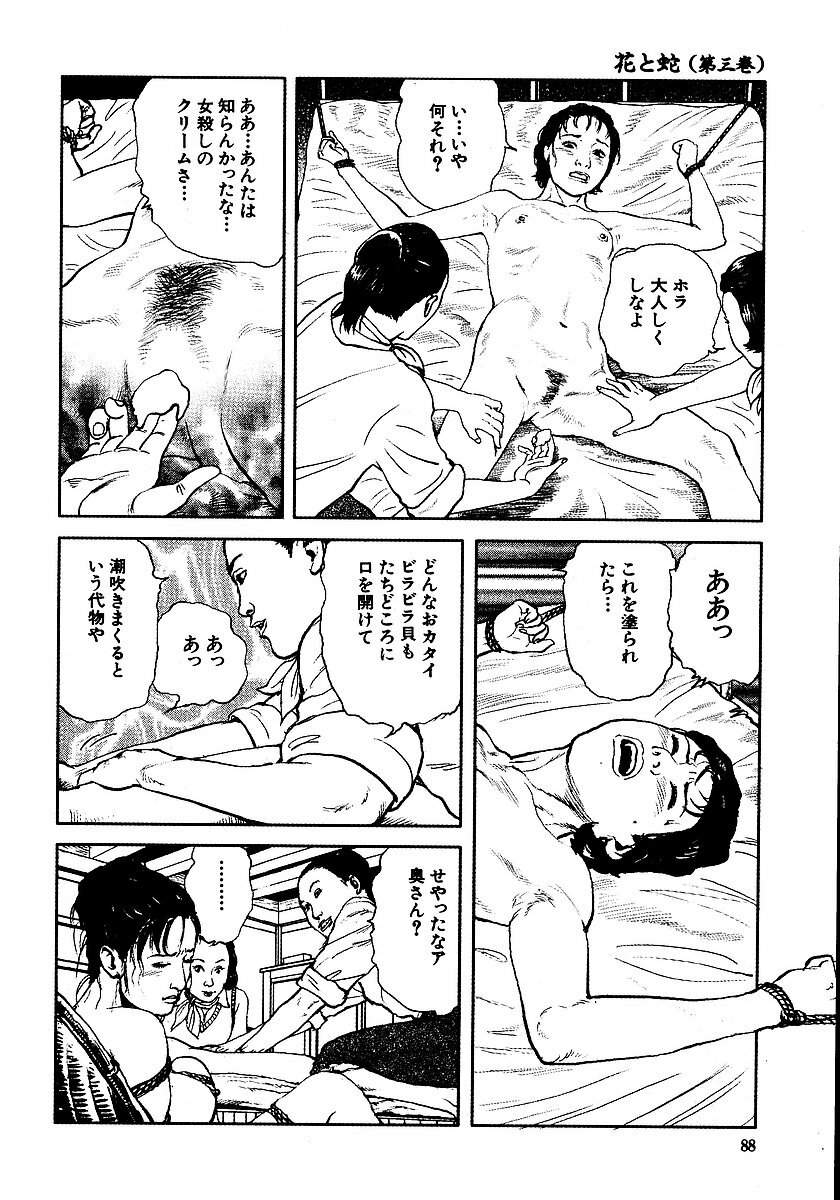 [Osada Kaname, Dan Oniroku] Hana to Hebi 3 page 93 full