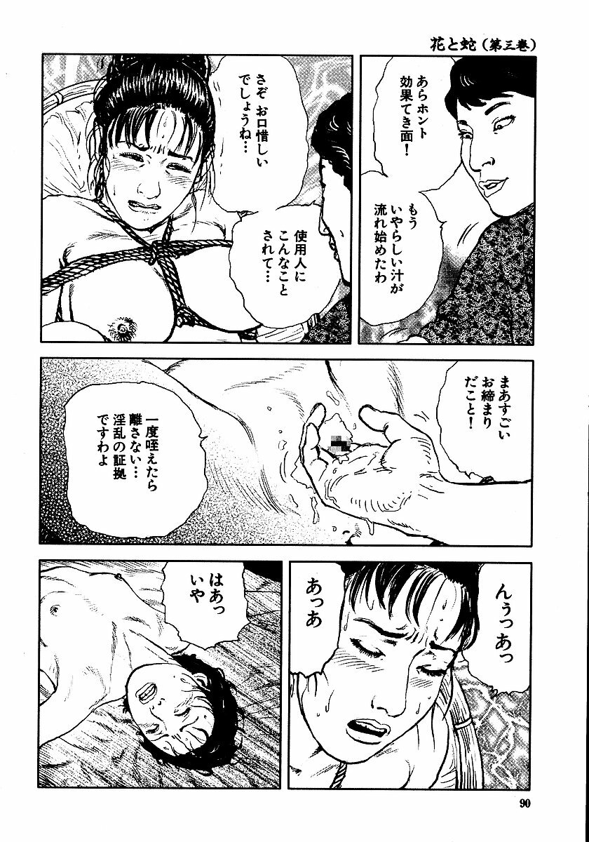 [Osada Kaname, Dan Oniroku] Hana to Hebi 3 page 95 full