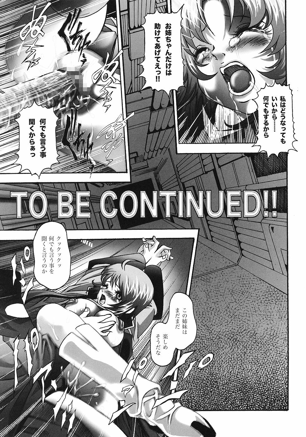 [STUDIO HAMMER ROCK (Itadaki Choujo)] Ikenie Shimai (Gundam Seed Destiny) page 18 full