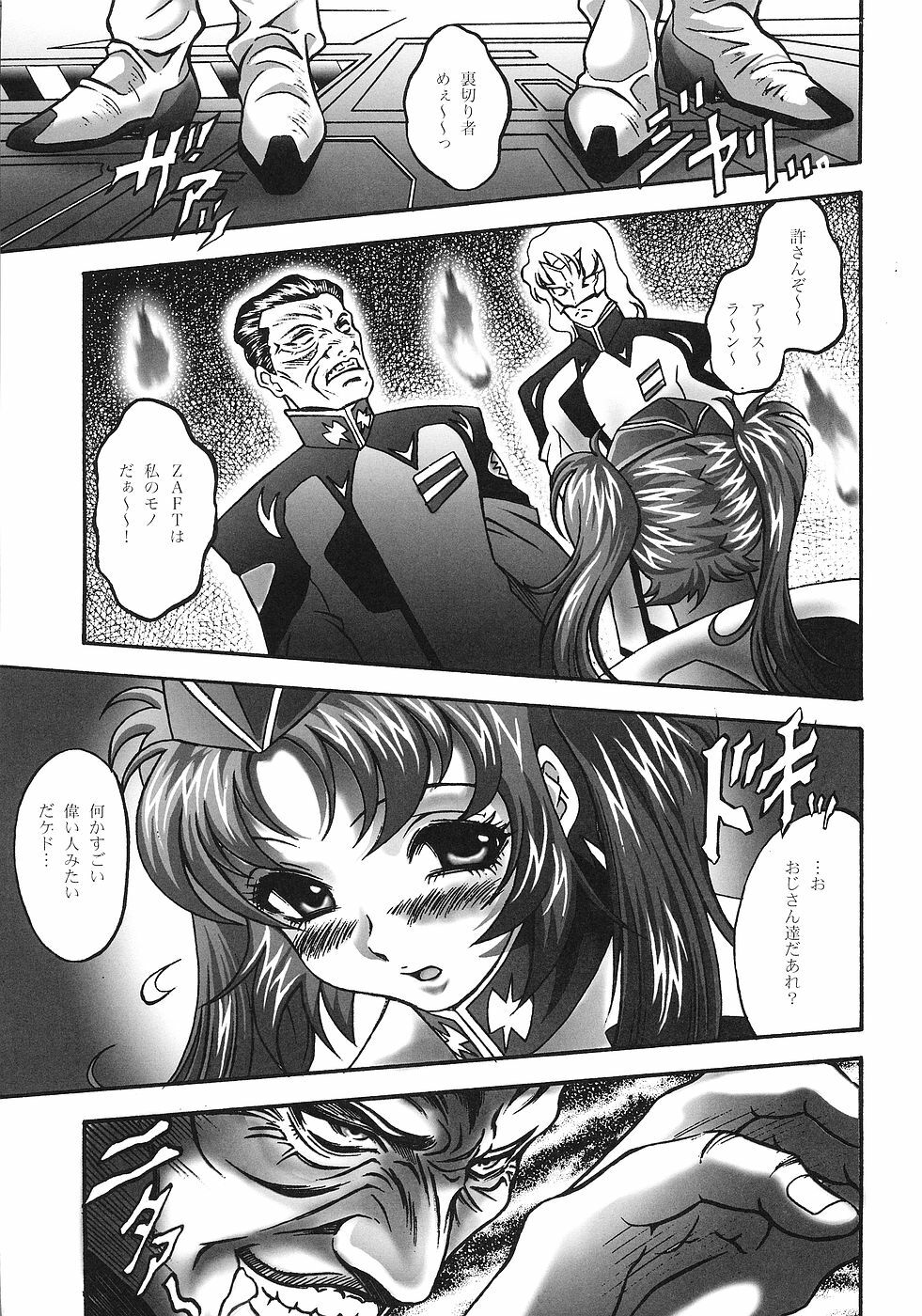 [STUDIO HAMMER ROCK (Itadaki Choujo)] Ikenie Shimai (Gundam Seed Destiny) page 6 full