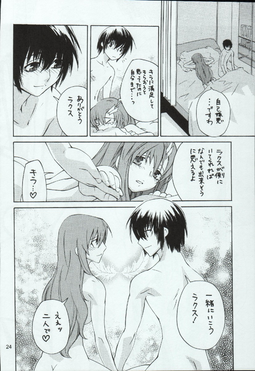(C68) [Kouchaya (Ootsuka Kotora)] crossroad Hikari (Gundam SEED DESTINY) page 24 full