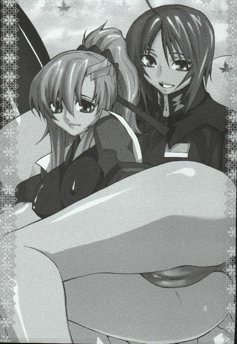 (C68) [Kouchaya (Ootsuka Kotora)] crossroad Hikari (Gundam SEED DESTINY) page 3 full