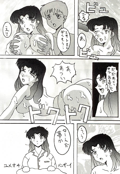 (C49) [Ayashige Dan (Various) Jinrui Hokan Keikaku 2 (Neon Genesis Evangelion) [Incomplete] page 8 full