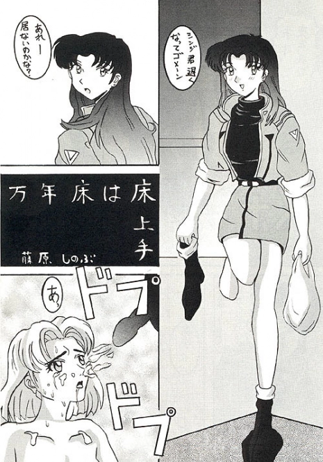 (C49) [Ayashige Dan (Various) Jinrui Hokan Keikaku 2 (Neon Genesis Evangelion) [Incomplete]
