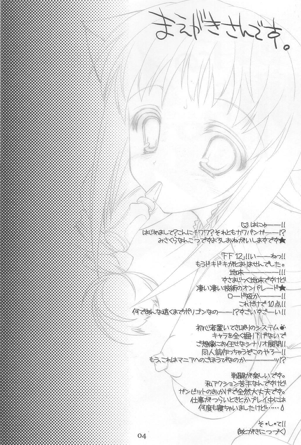 (Comic Castle 2006) [HarthNir (Misakura Nankotsu)] Haou no Tamago-tachi LEVEL 01 (Final Fantasy XII) page 4 full