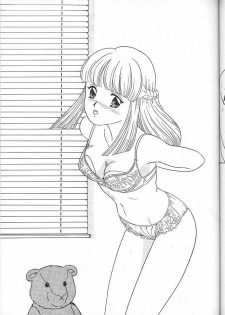 (C49) [Chandora, LUNCH BOX (Makunouchi Isami)] Lunch Box 16 - Lunch Time 4 (Tokimeki Memorial) - page 20