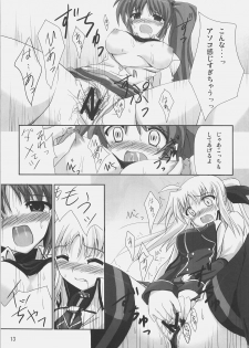 [Overcrowd (Kusakami Akira)] PN. (Mahou Shoujo Lyrical Nanoha) - page 12