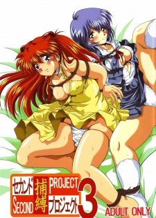 [Thirty Saver Street 2D Shooting (Maki Hideto, Sawara Kazumitsu)] Second Hobaku Project 3 (Neon Genesis Evangelion) - page 2