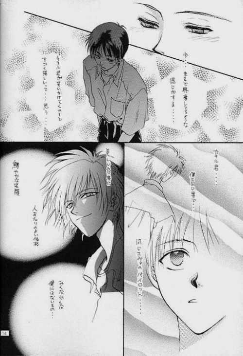 (C51) [Zaougumi (Zaou Taishi)] Lost Sheep (Neon Genesis Evangelion) page 12 full