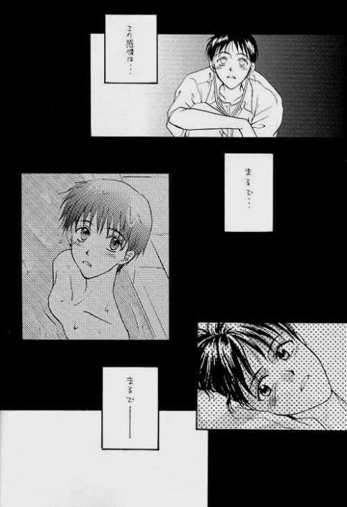 (C51) [Zaougumi (Zaou Taishi)] Lost Sheep (Neon Genesis Evangelion) page 16 full