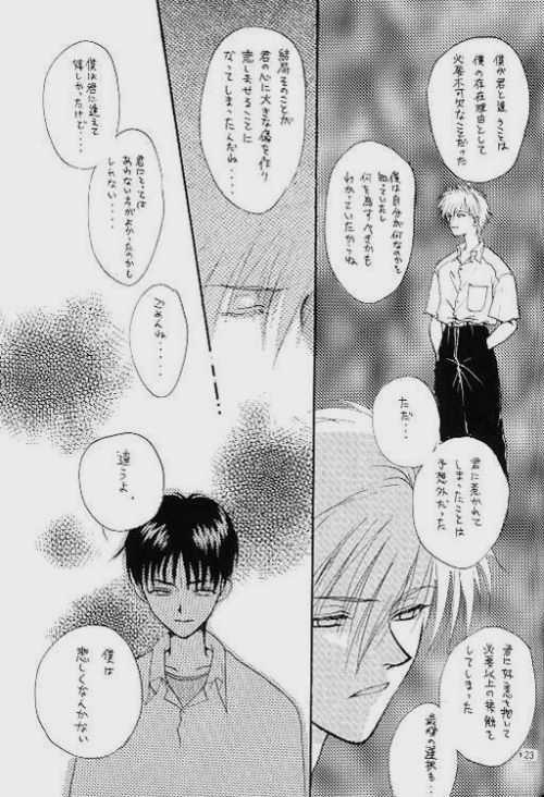 (C51) [Zaougumi (Zaou Taishi)] Lost Sheep (Neon Genesis Evangelion) page 19 full