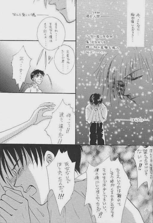 (C51) [Zaougumi (Zaou Taishi)] Lost Sheep (Neon Genesis Evangelion) page 21 full