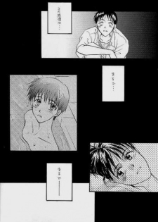 (C51) [Zaougumi (Zaou Taishi)] Lost Sheep (Neon Genesis Evangelion) - page 16
