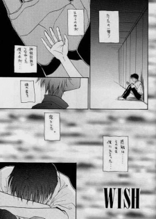 (C51) [Zaougumi (Zaou Taishi)] Lost Sheep (Neon Genesis Evangelion) - page 17