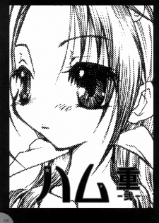 (C65) [Hamustar (Hayami Osamu, Tantan)] Hamu-juu -Ni- (Naruto) - page 2