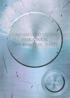 (CR37) [FANTASY WIND (Shinano Yura)] L-S (Kidou Senshi Gundam Seed Destiny) [English] [SaHa] - page 18